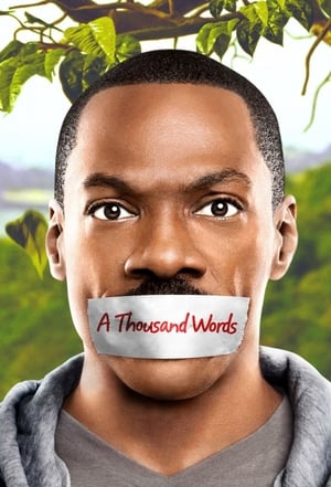 A Thousand Words (2012) Hindi Dual Audio 720p BluRay [800MB]