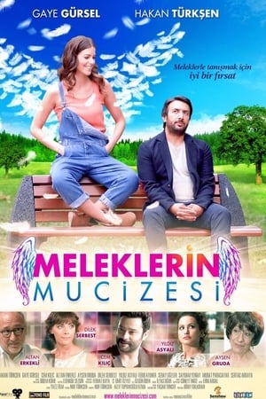 Meleklerin mucizesi (2014) Hindi Dual Audio 720p Web-DL [600MB]