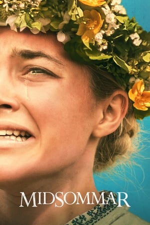 Midsommar (2019) Hindi Dual Audio 480p BluRay 500MB