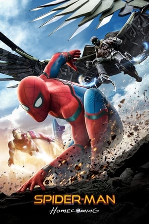 Spider-Man Homecoming 2017 200mb Dual Audio Hindi Bluray Hevc Download