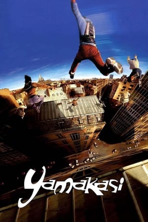 Yamakasi 2001 Hindi Dual Audio 480p BluRay 300MB